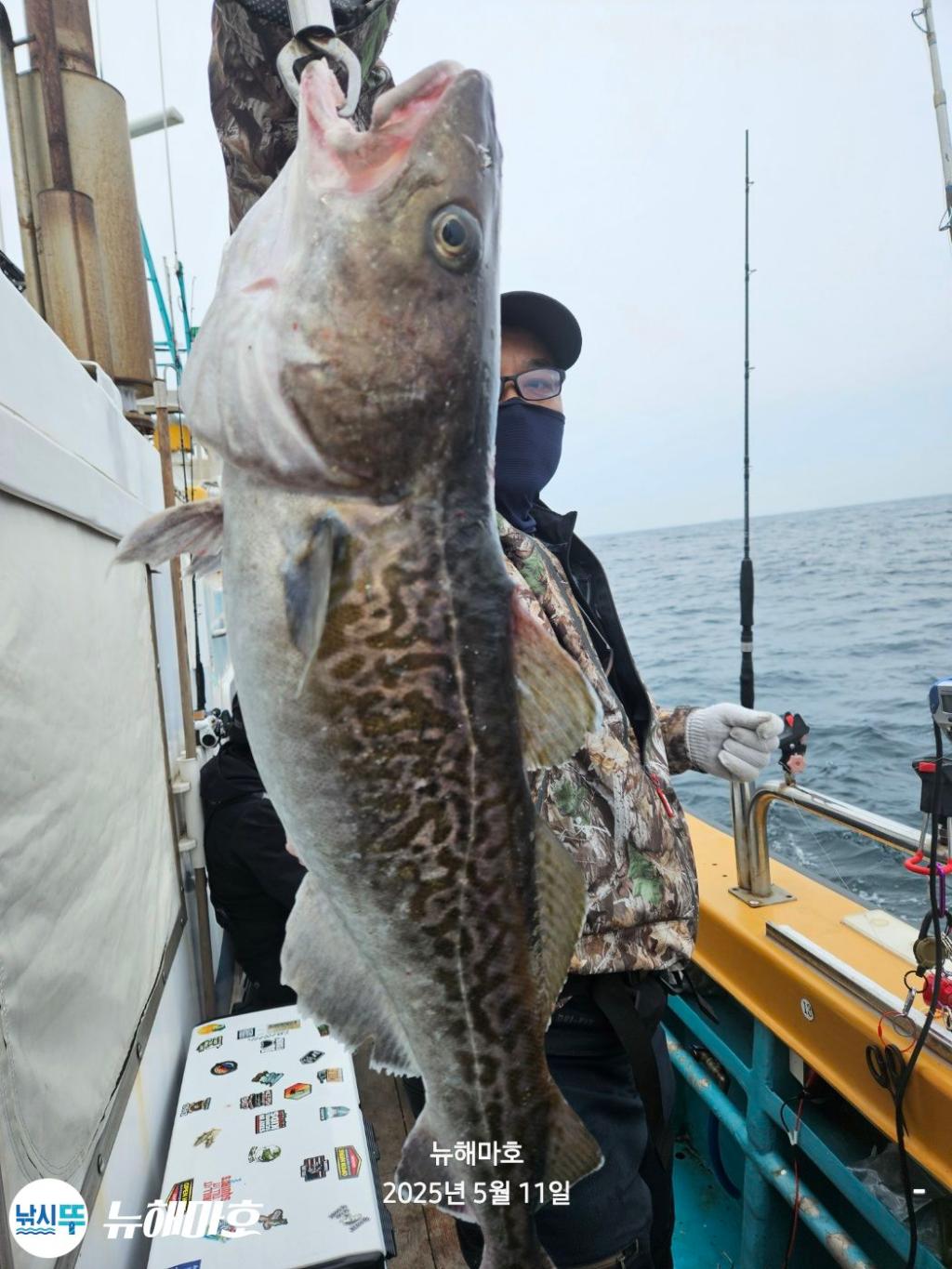 F2674401MB.jpg
