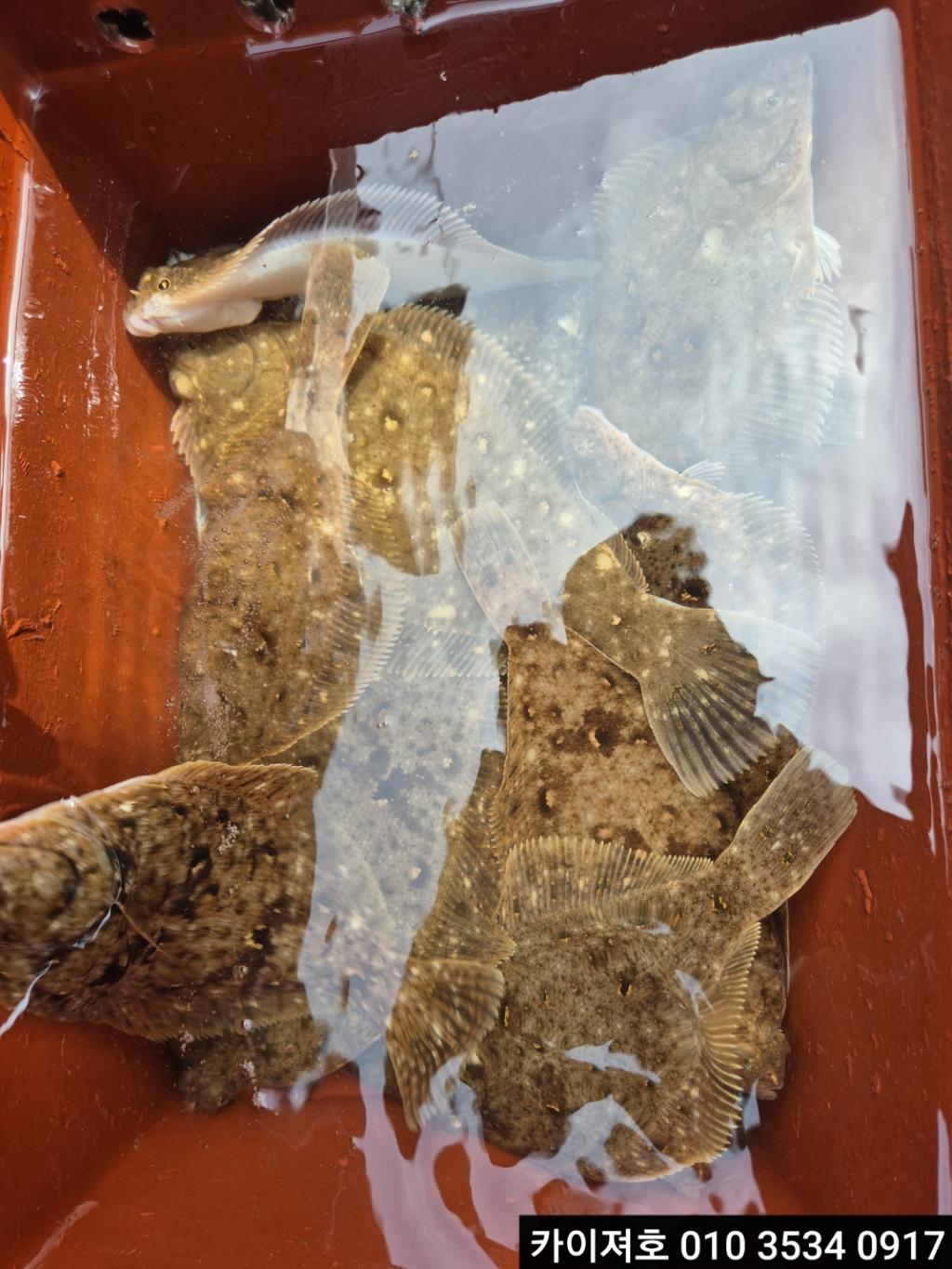 F2674475MI.jpg