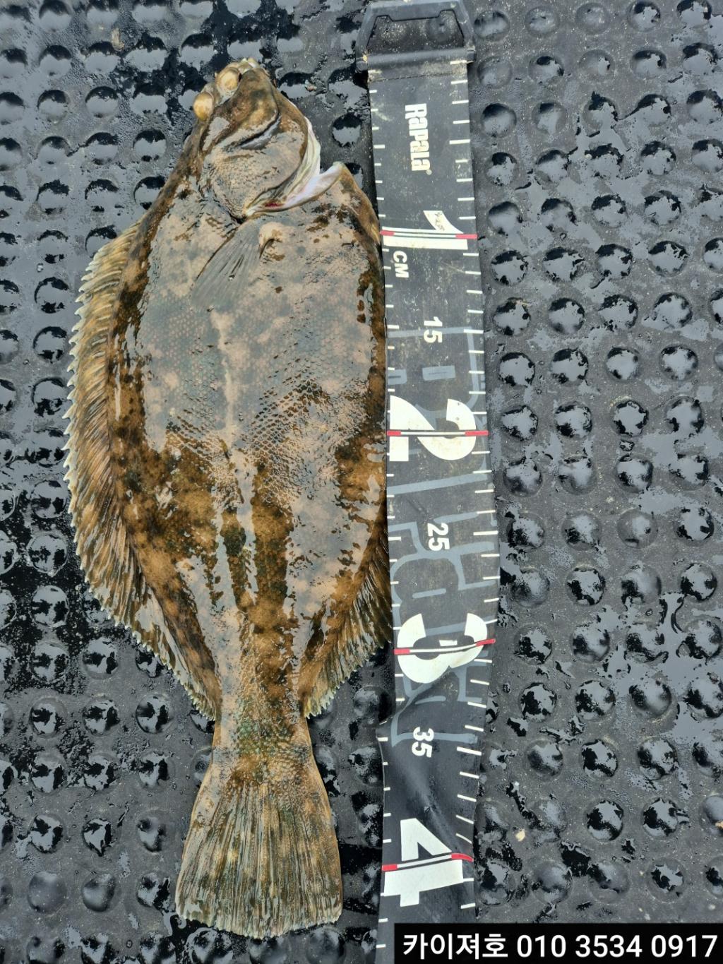 F26744980O.jpg