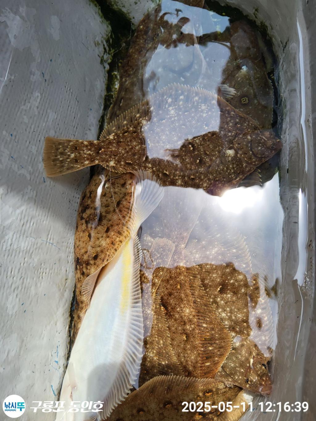 F2674718LQ.jpg