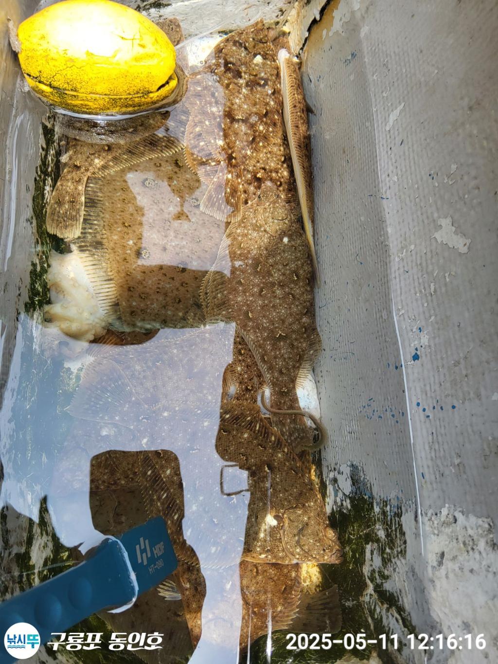 F2674722K5.jpg