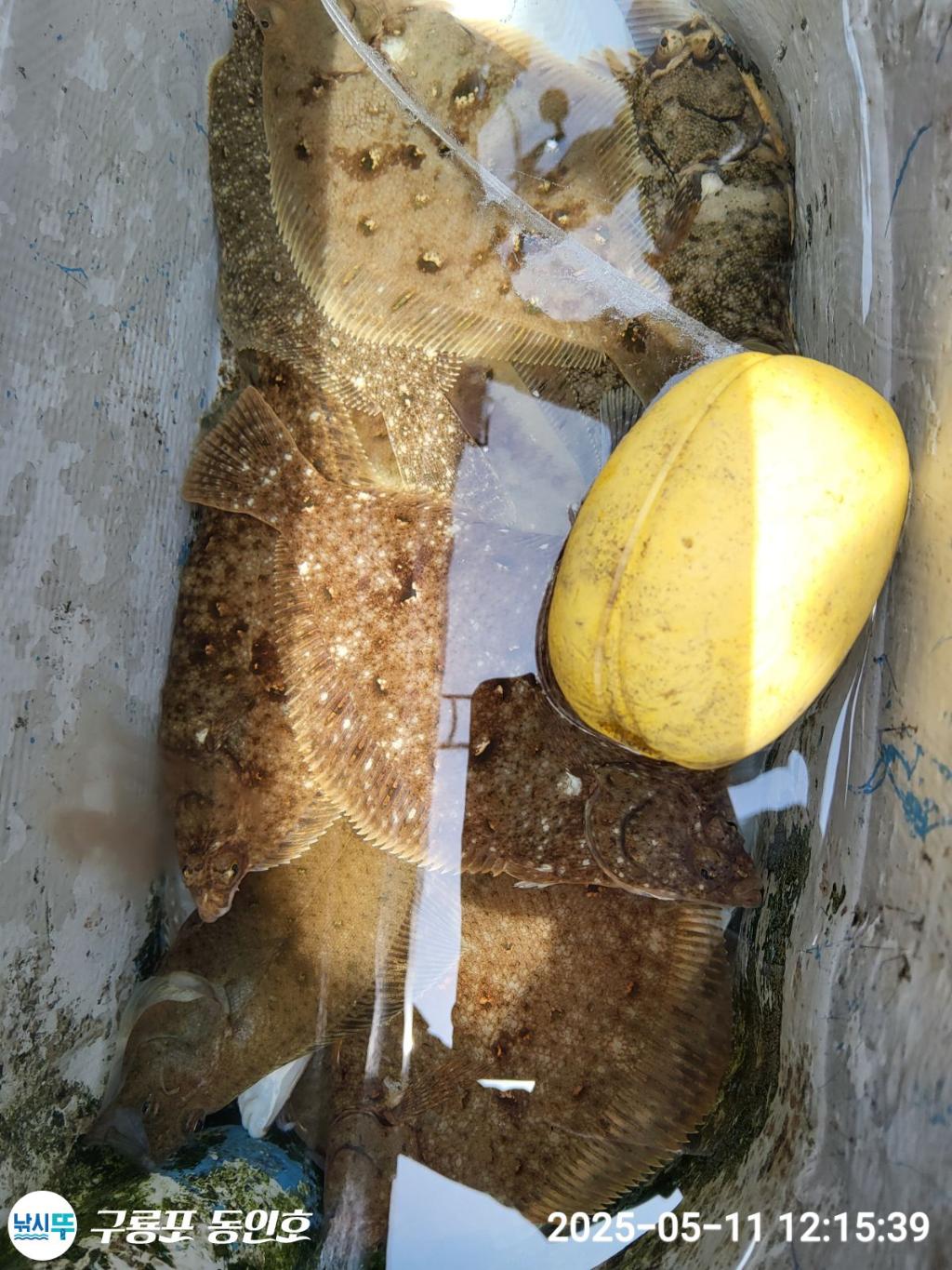 F26747238Y.jpg