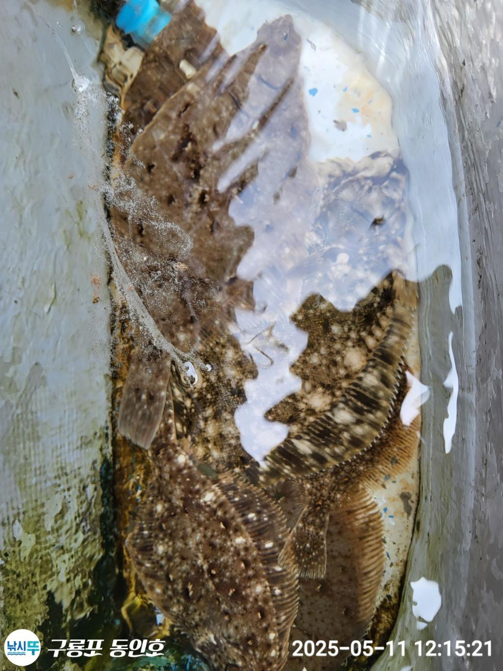 F2674726CJ.jpg