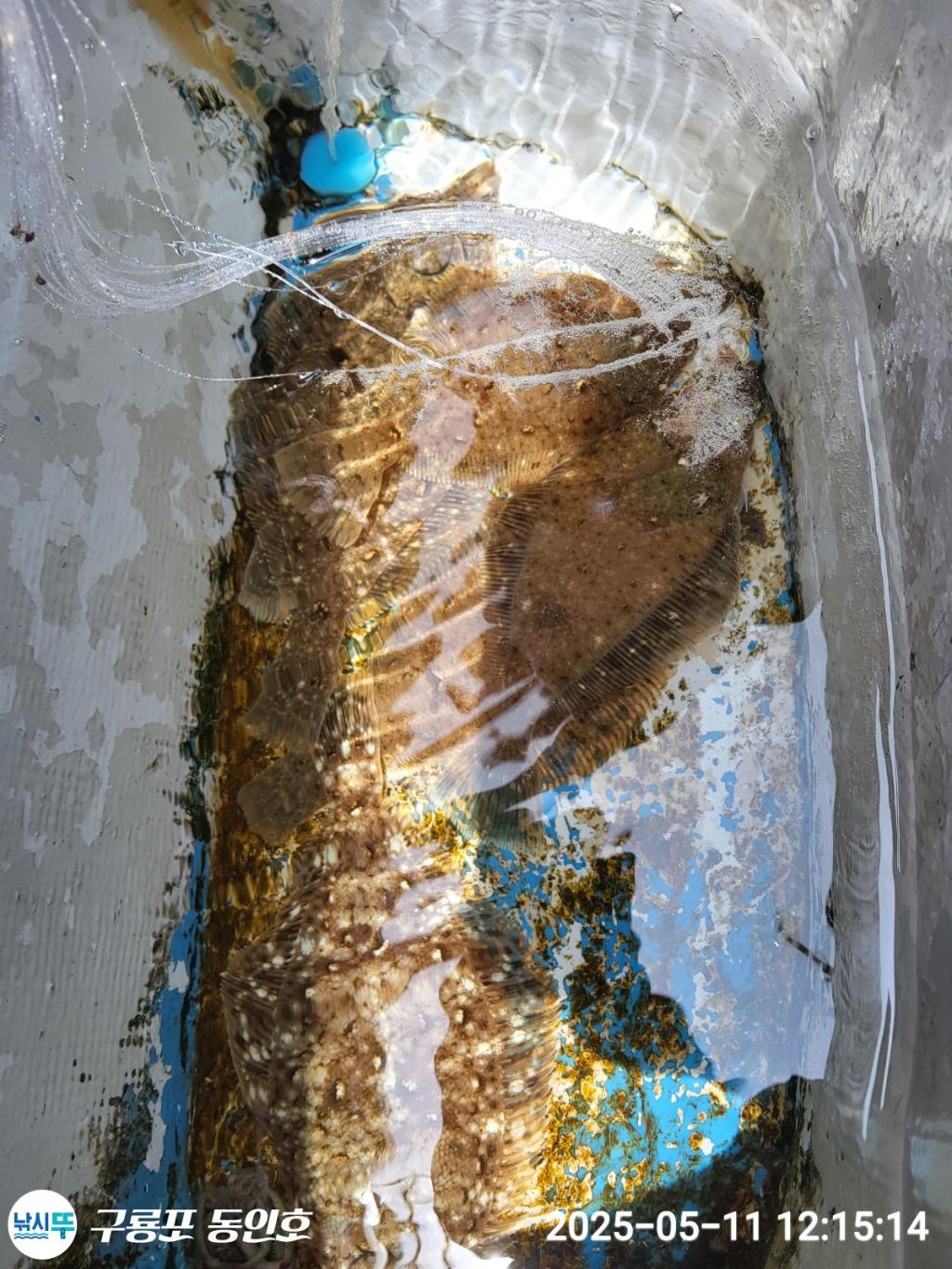 F26747278T.jpg