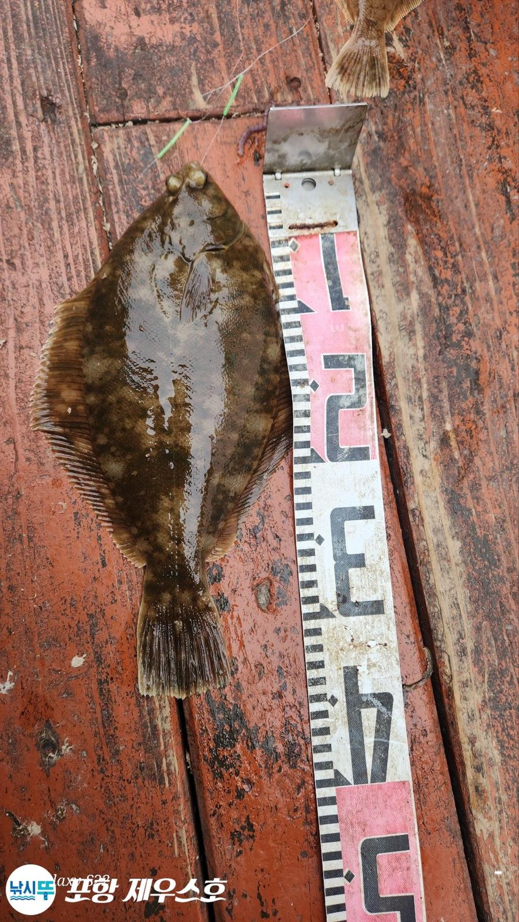 F26747805E.jpg