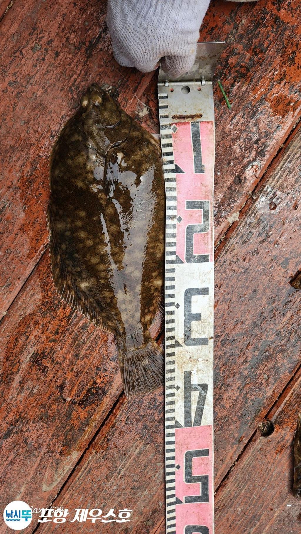 F2674788G7.jpg