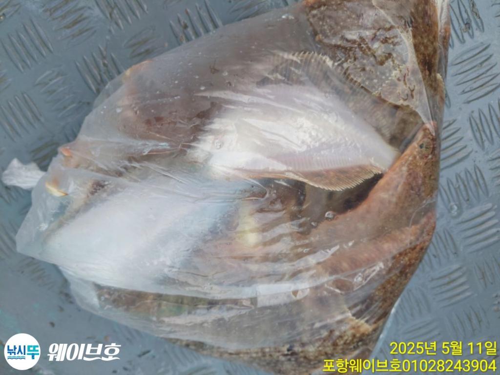 F26747929G.jpg