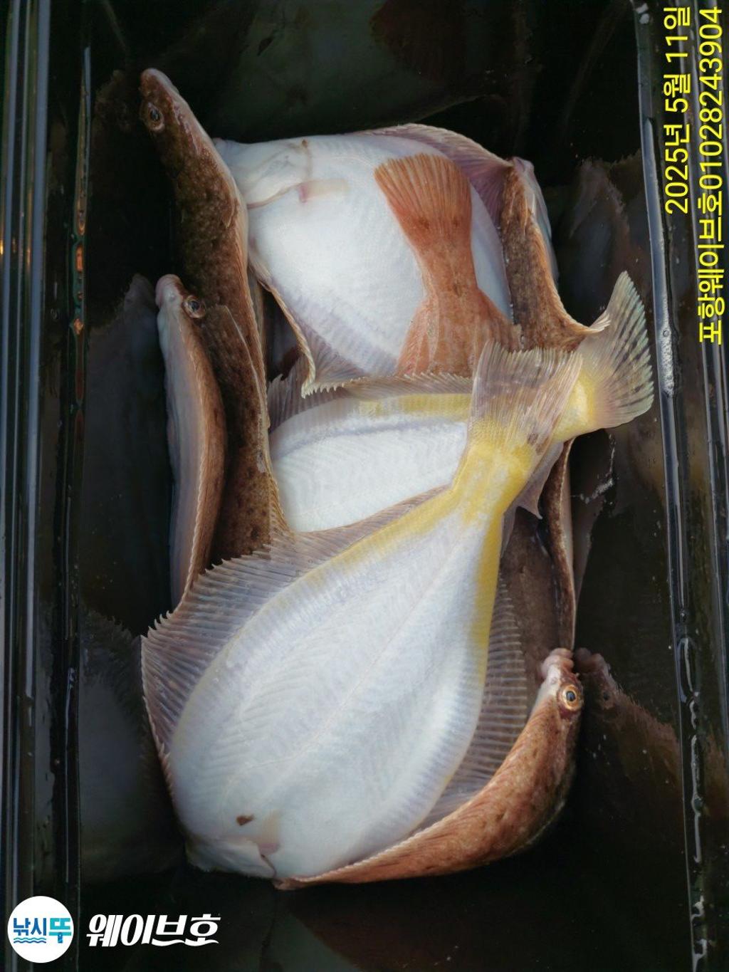 F26747949U.jpg