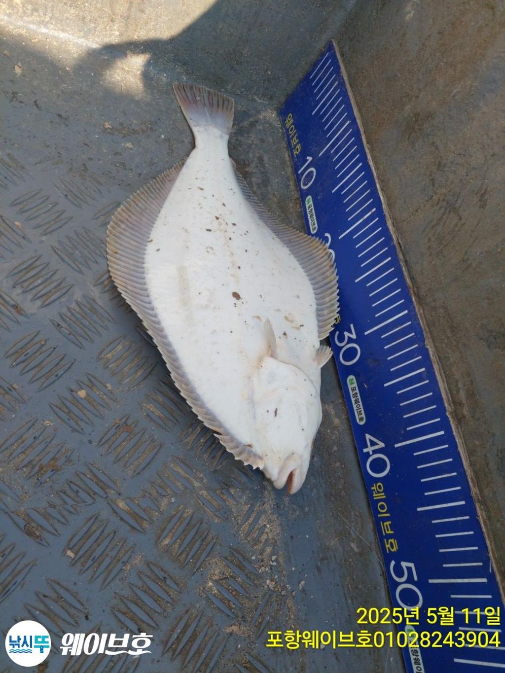 F267480787.jpg