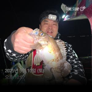 조황, 볼락캐스팅 선상조황