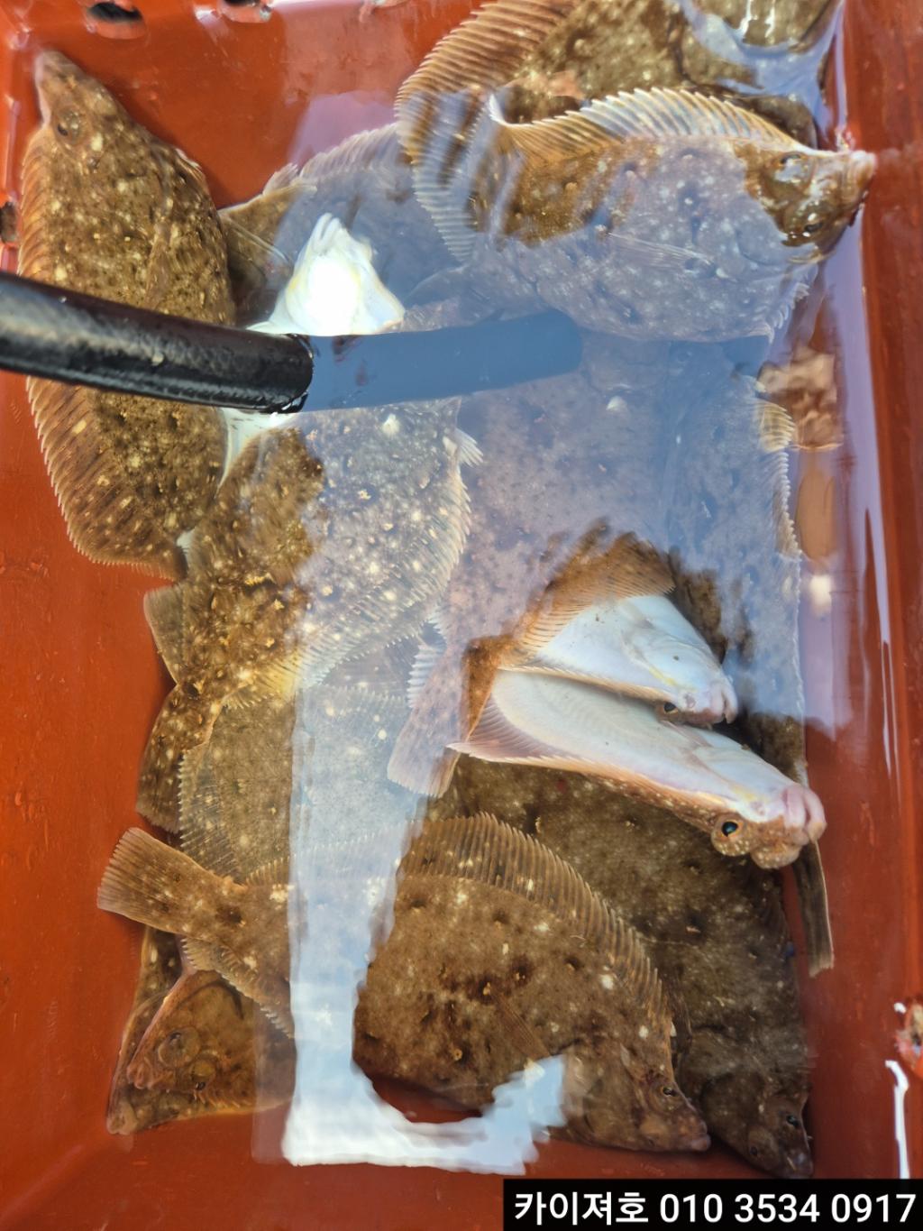 F26749029A.jpg