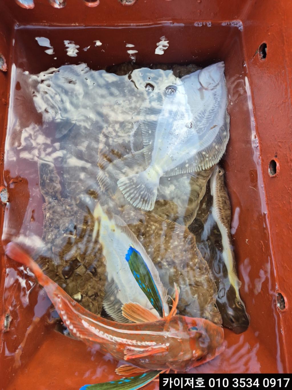 F267490309.jpg