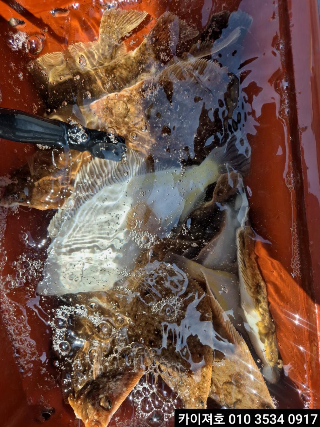 F267523983.jpg