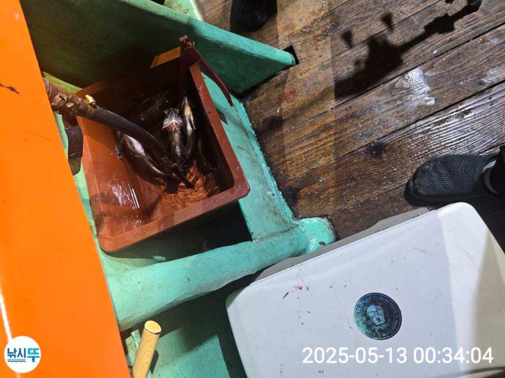 F2675425U1.jpg