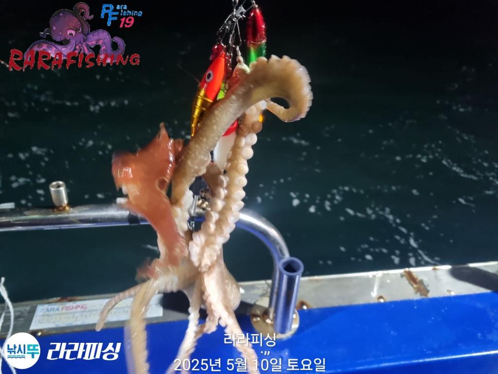 F2675740D0.jpg