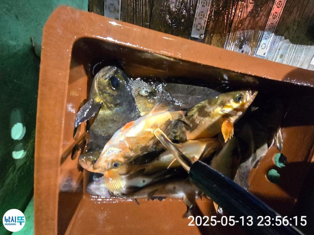 F2676053BZ.jpg
