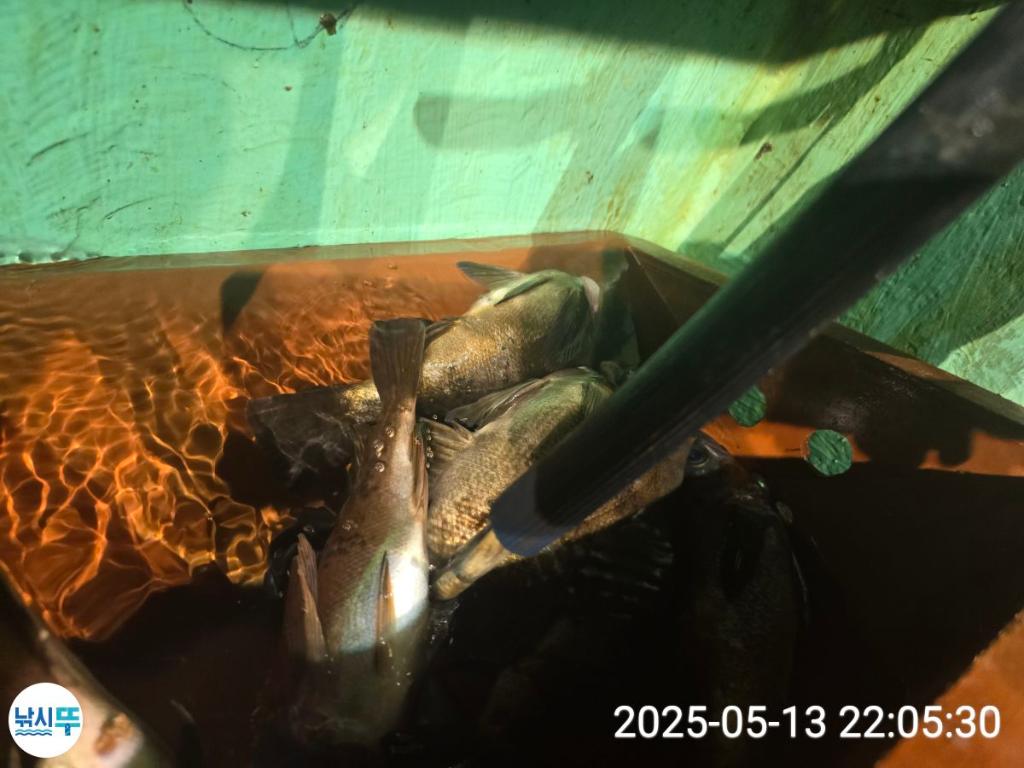 F2676064AP.jpg
