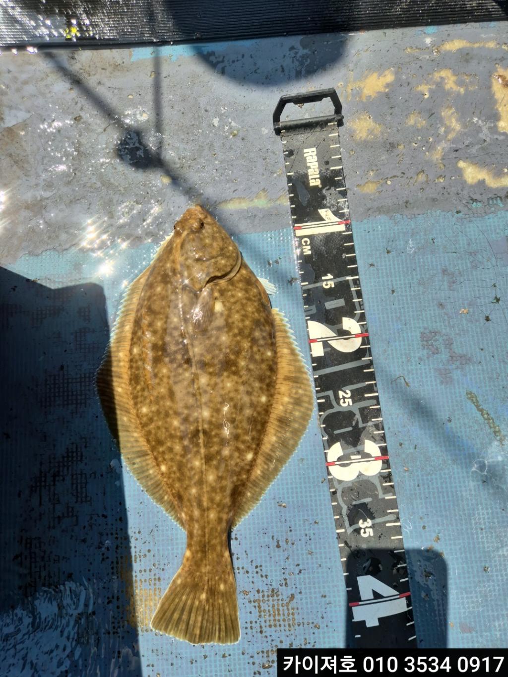 F2676409IV.jpg