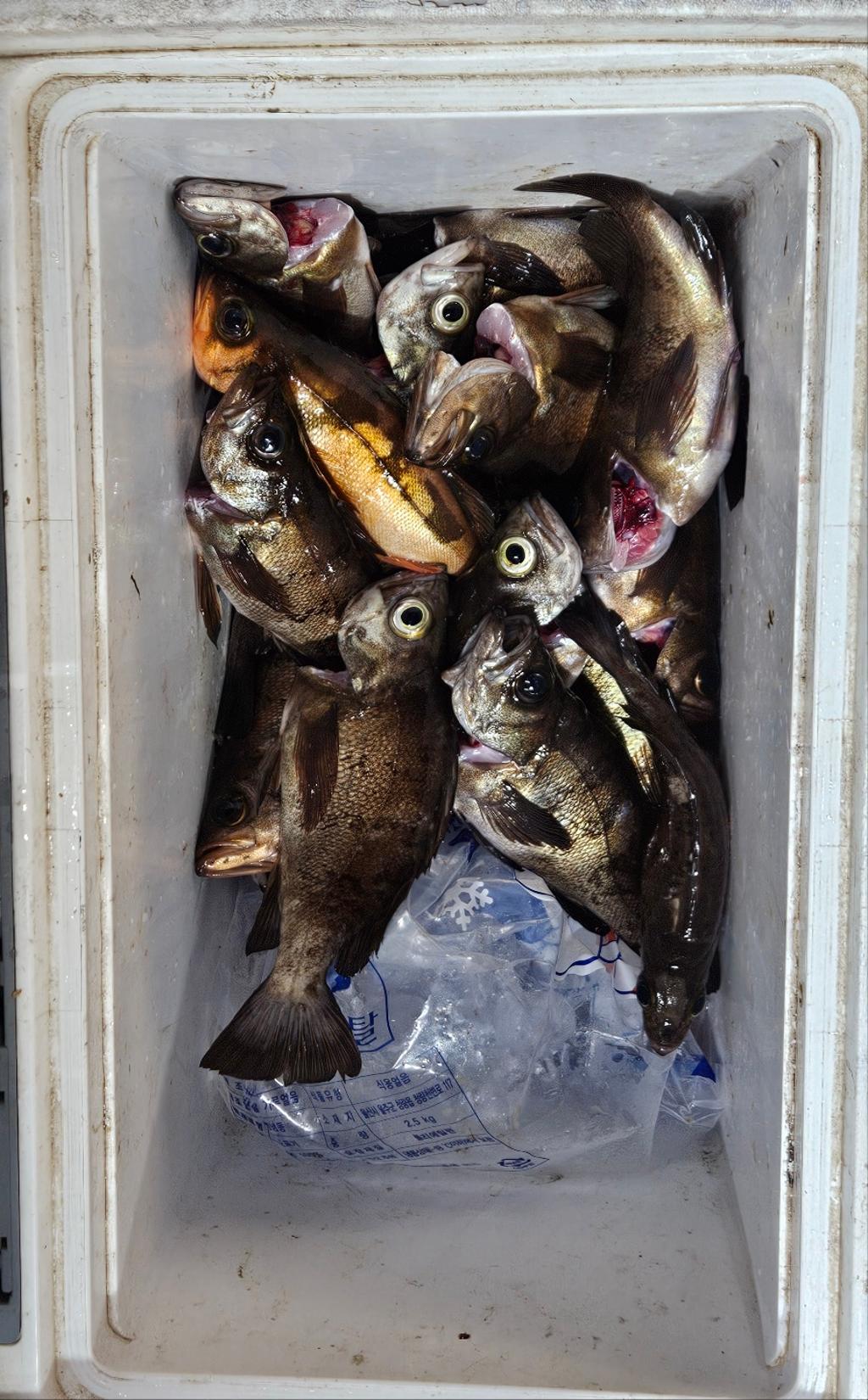F2676638PX.jpg