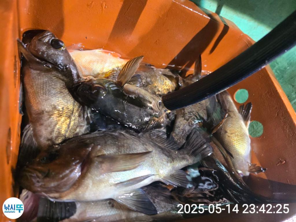 F26767360P.jpg
