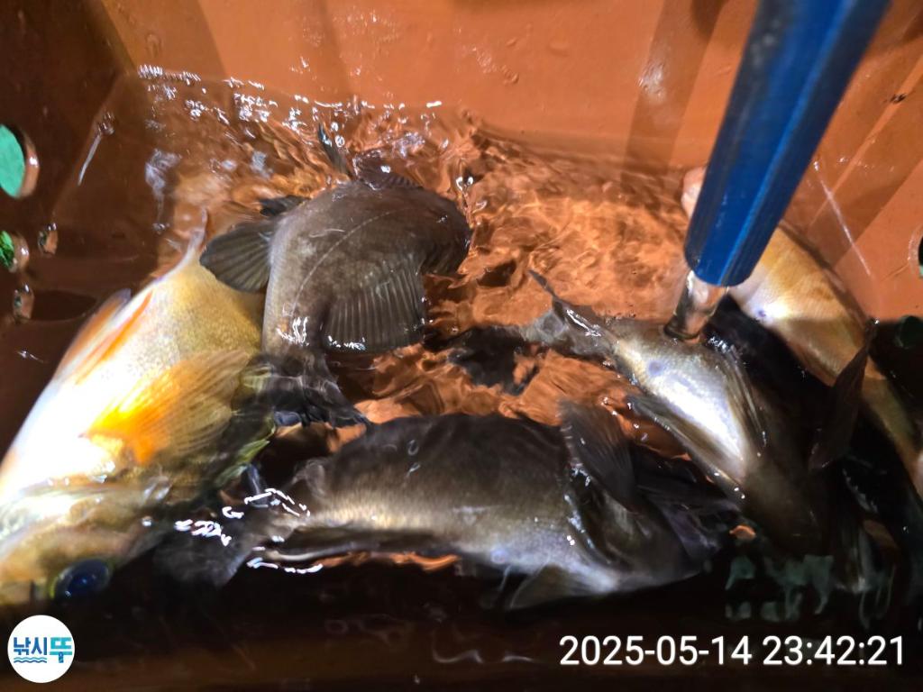 F26767371Q.jpg