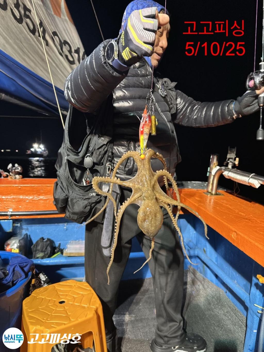 F2674341HS.jpg
