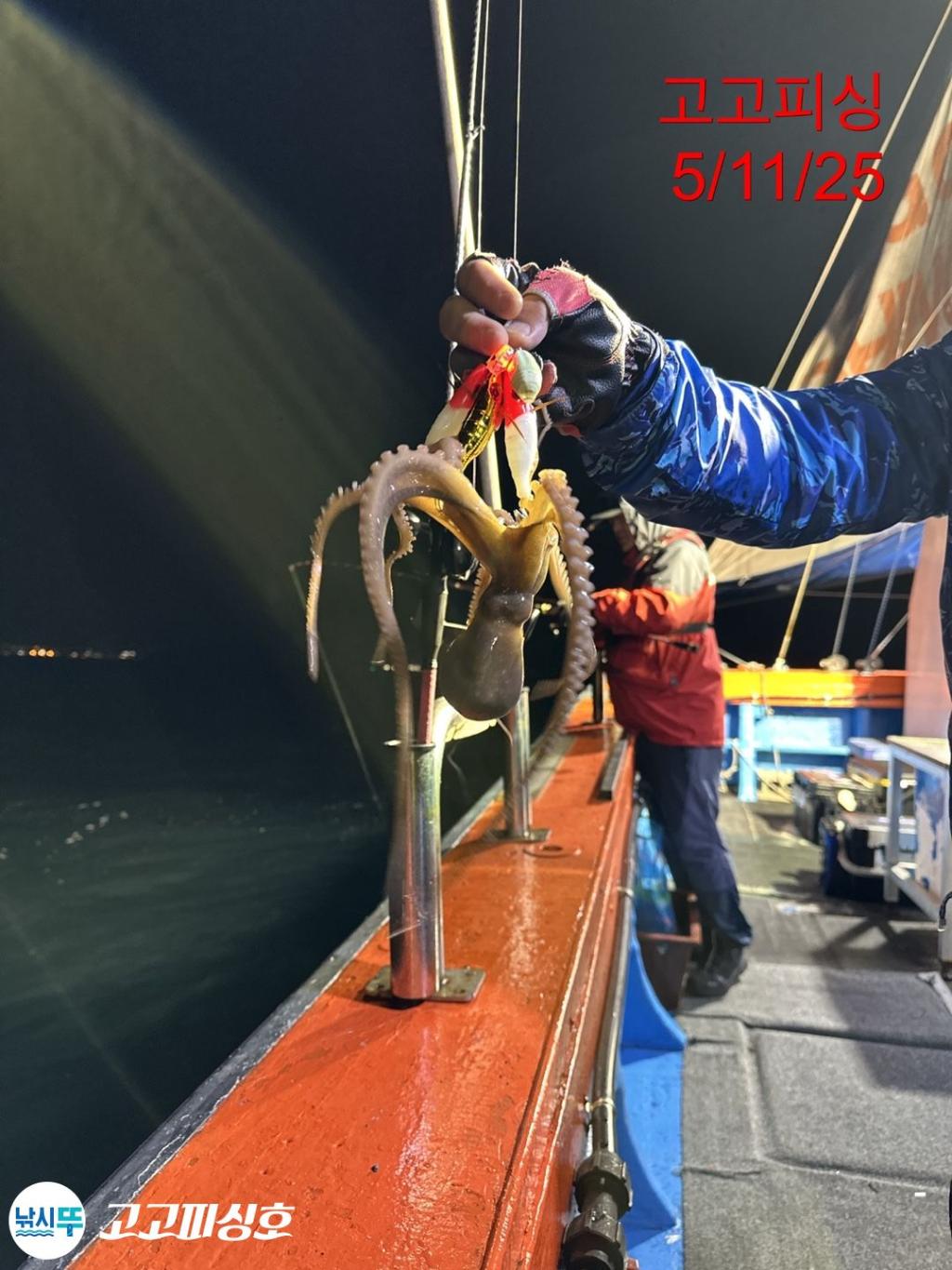F26743447T.jpg