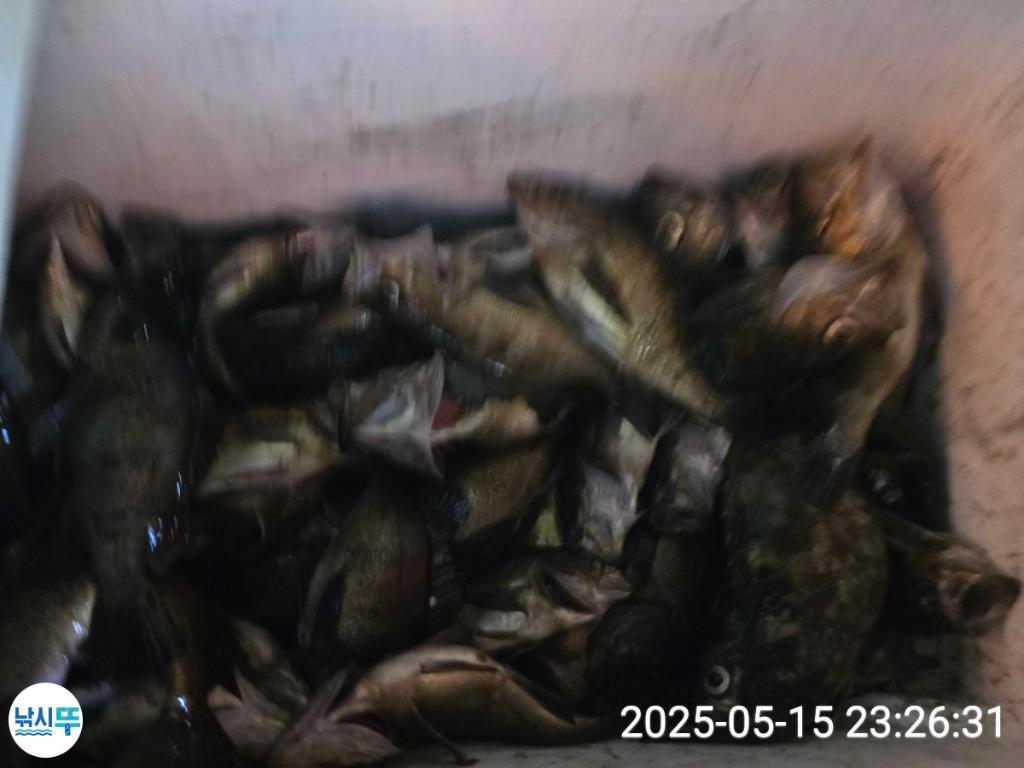F267705102.jpg