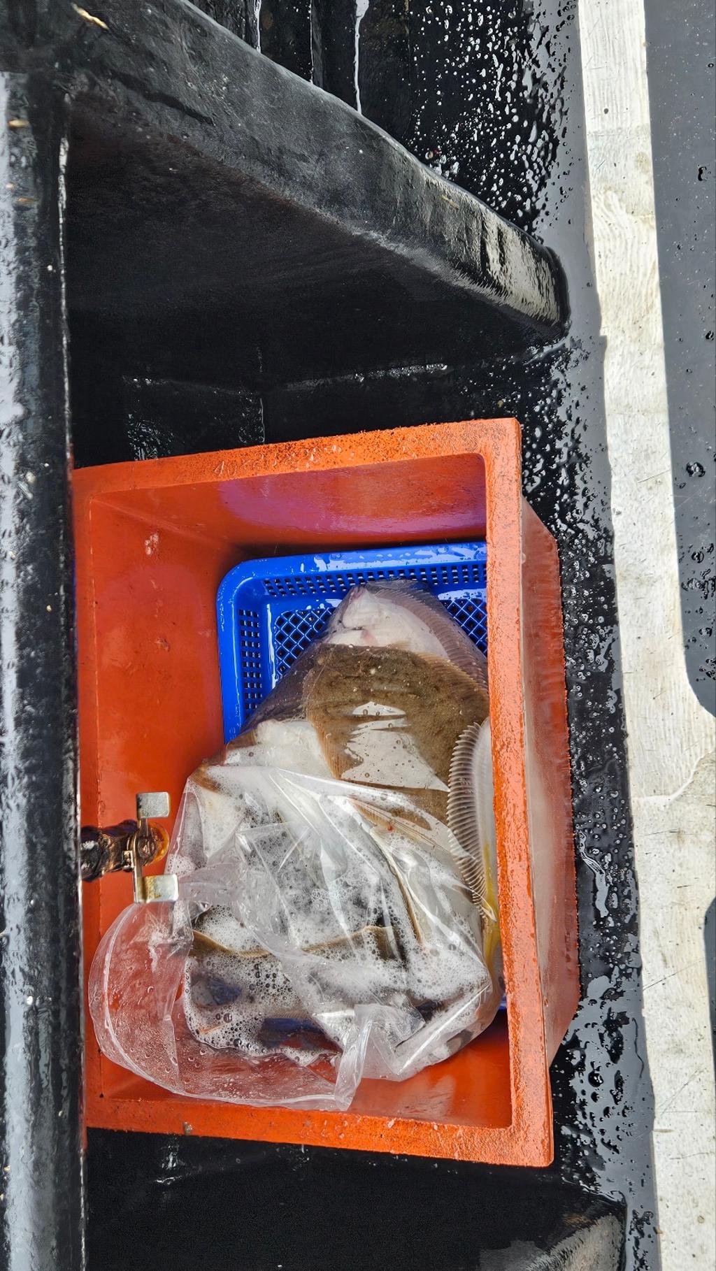 F2677121PQ.jpg