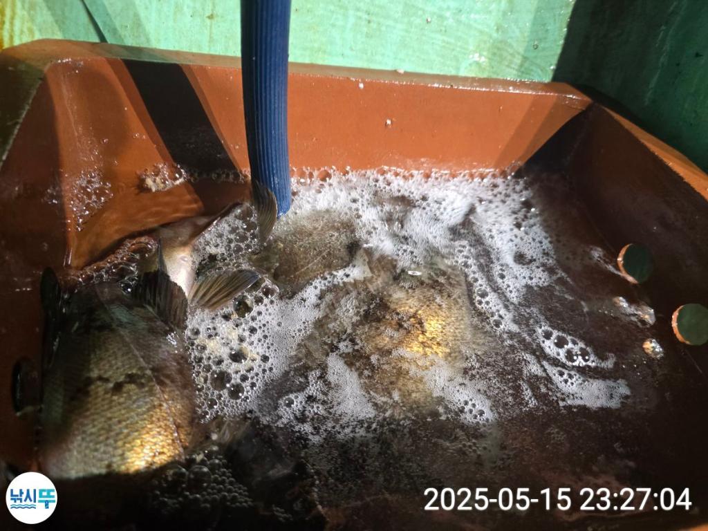 F2677205FH.jpg
