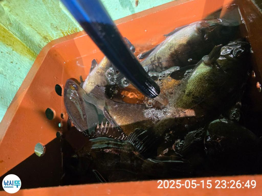 F2677208MN.jpg