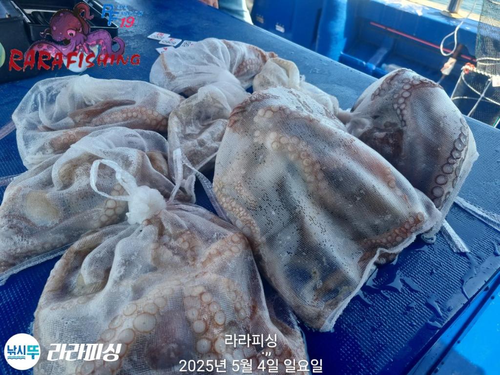F2677294RY.jpg