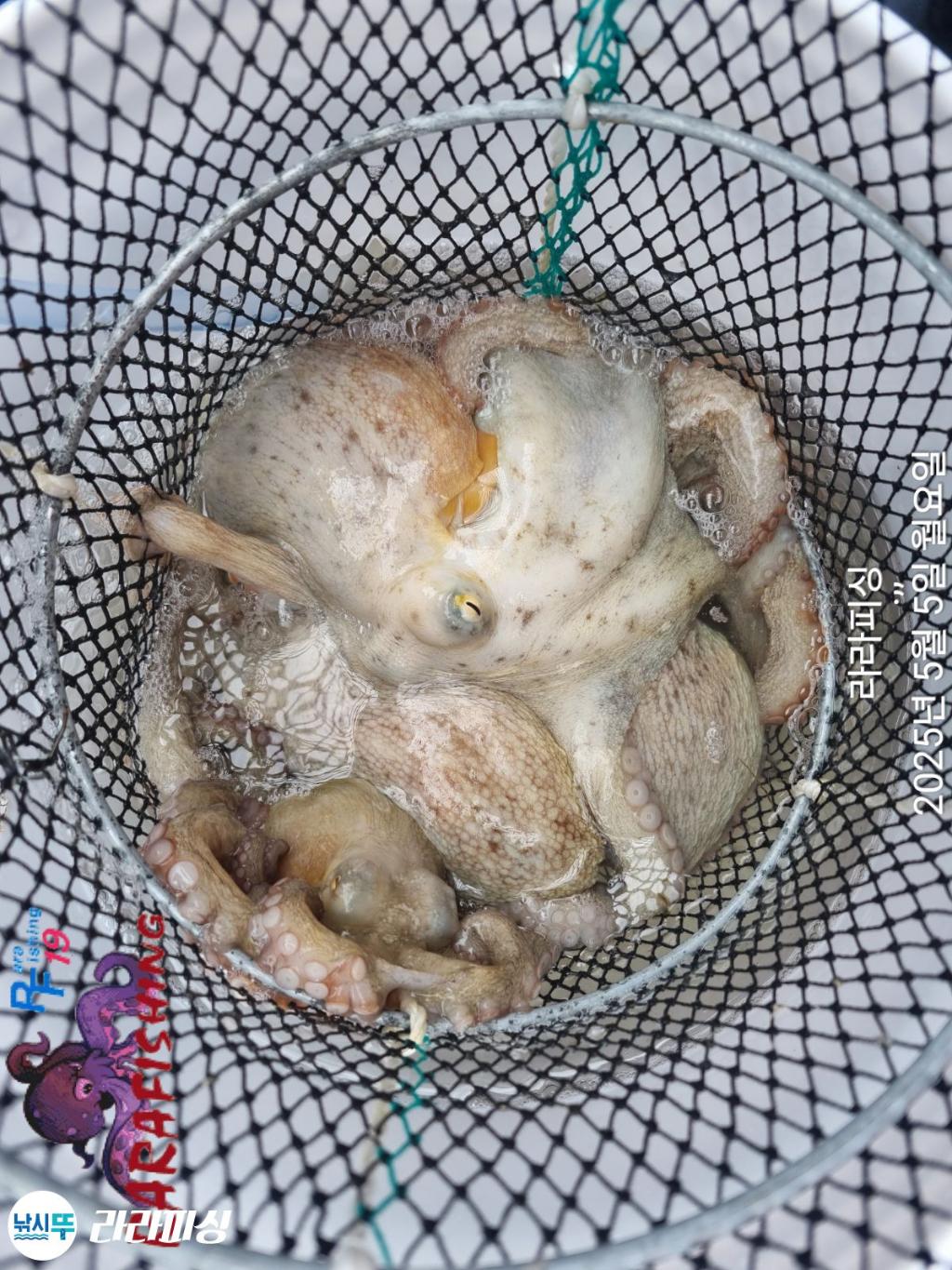 F26773074G.jpg