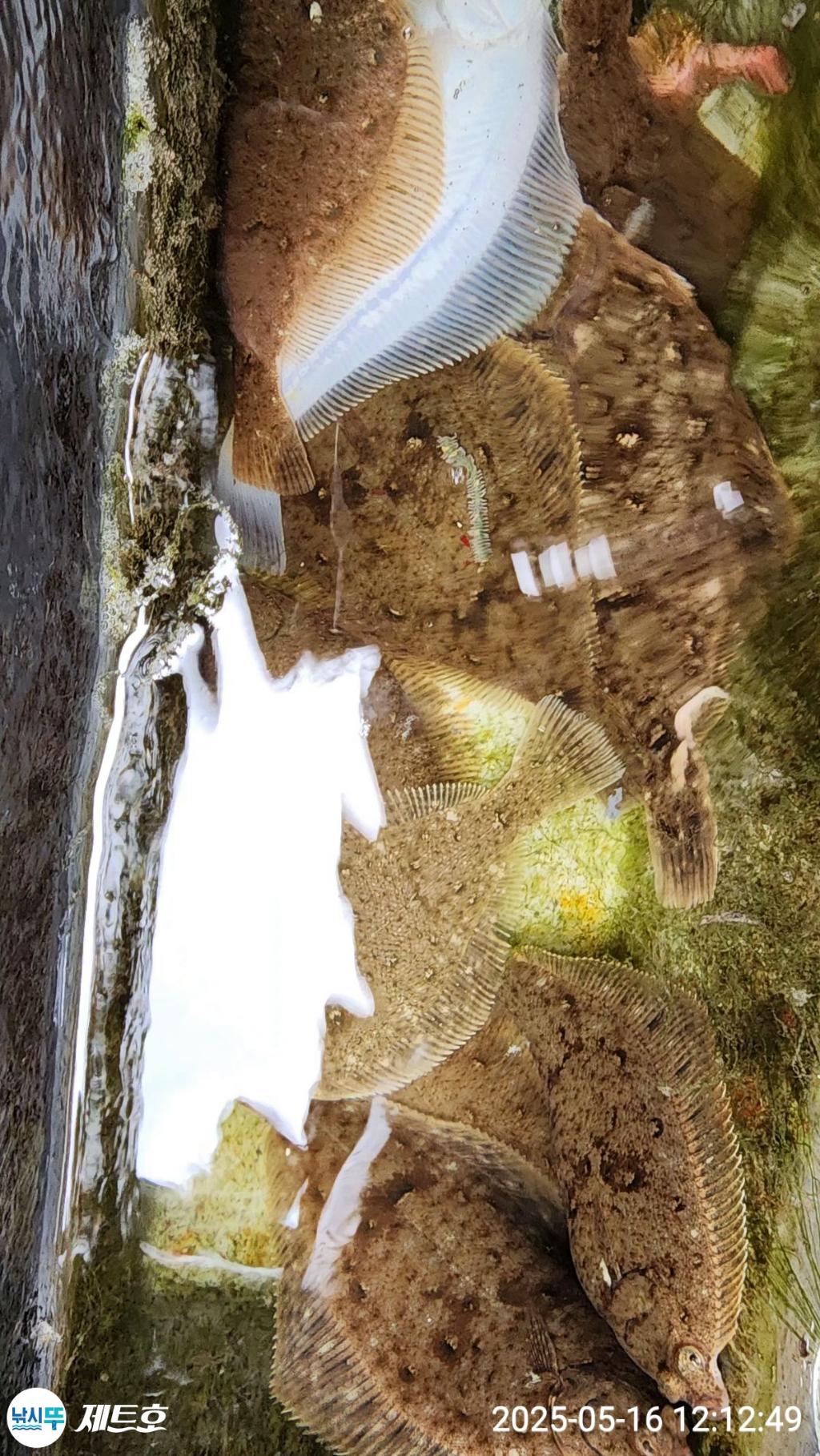 F267735500.jpg