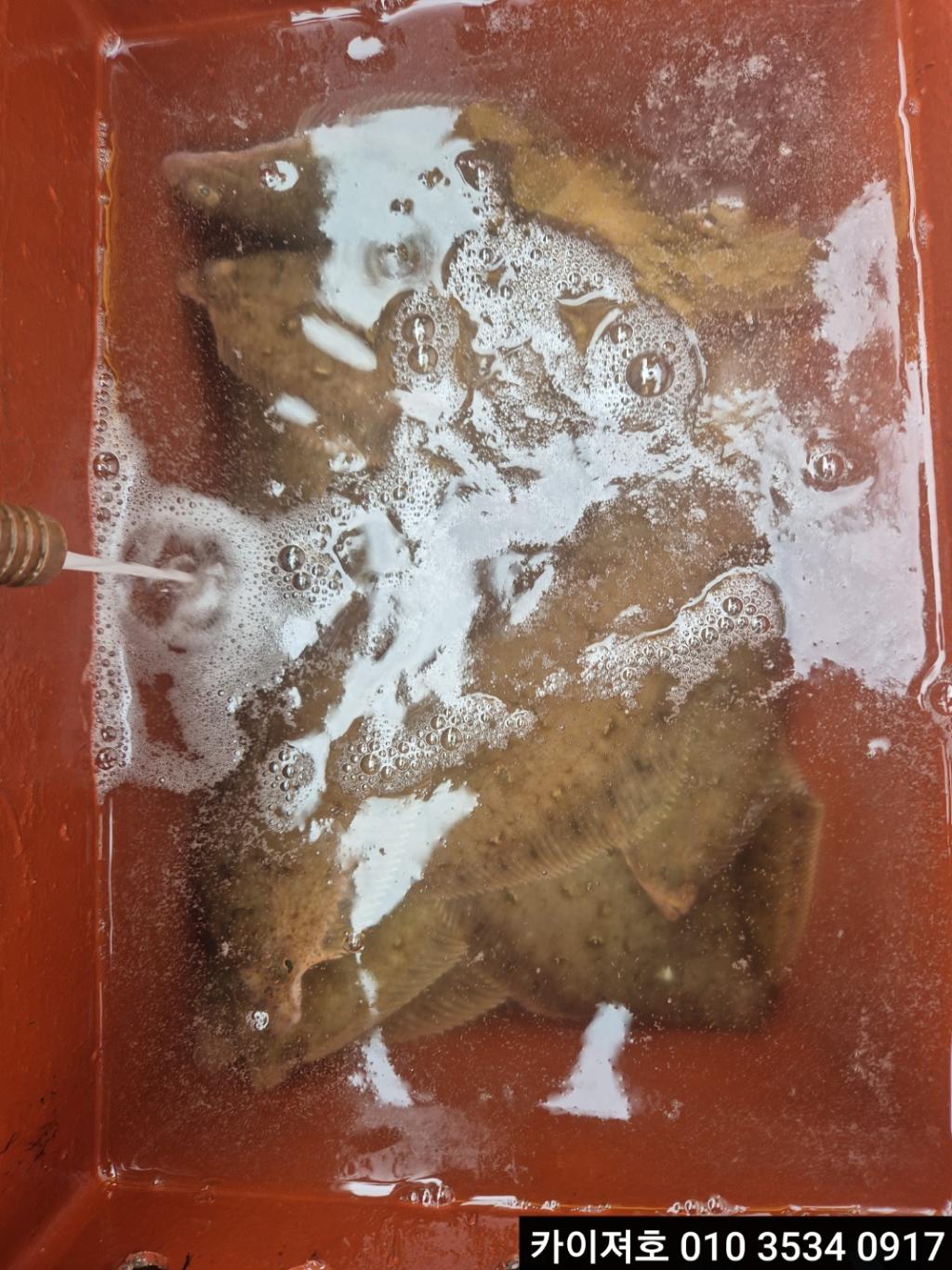 F2677396H9.jpg
