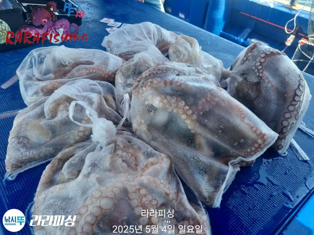 F26774991Y.jpg