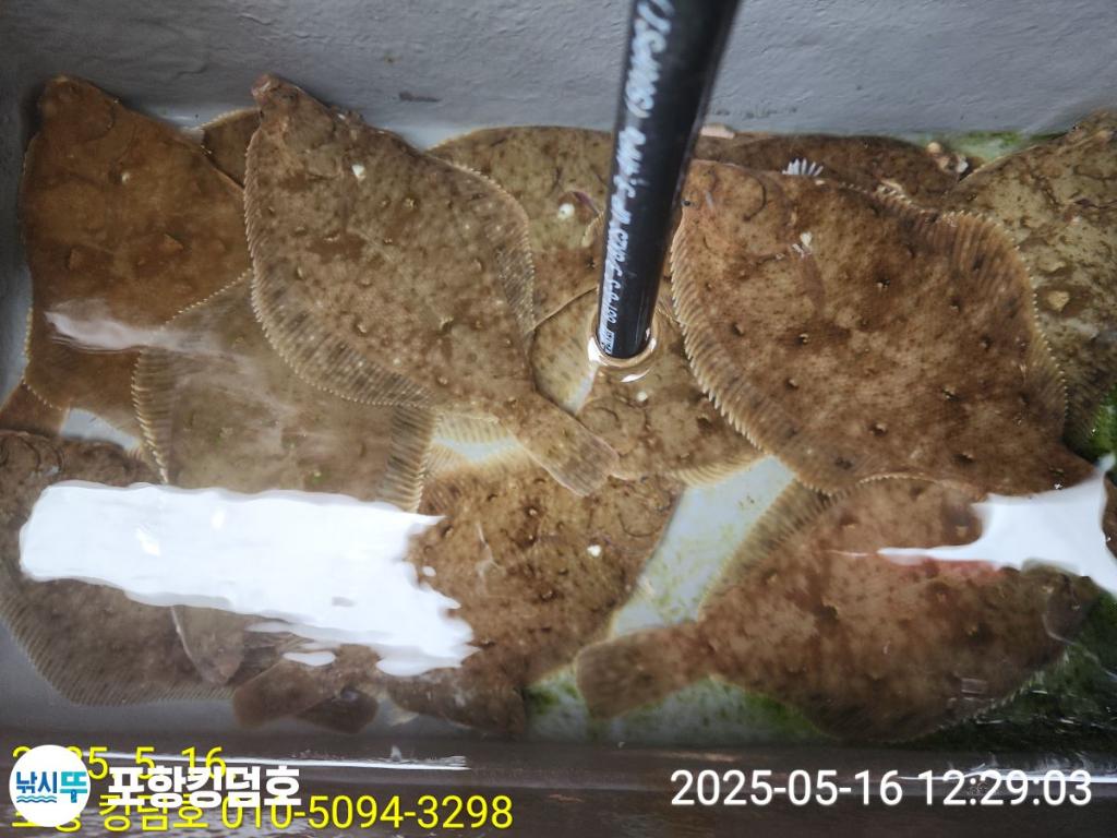F2677544H6.jpg