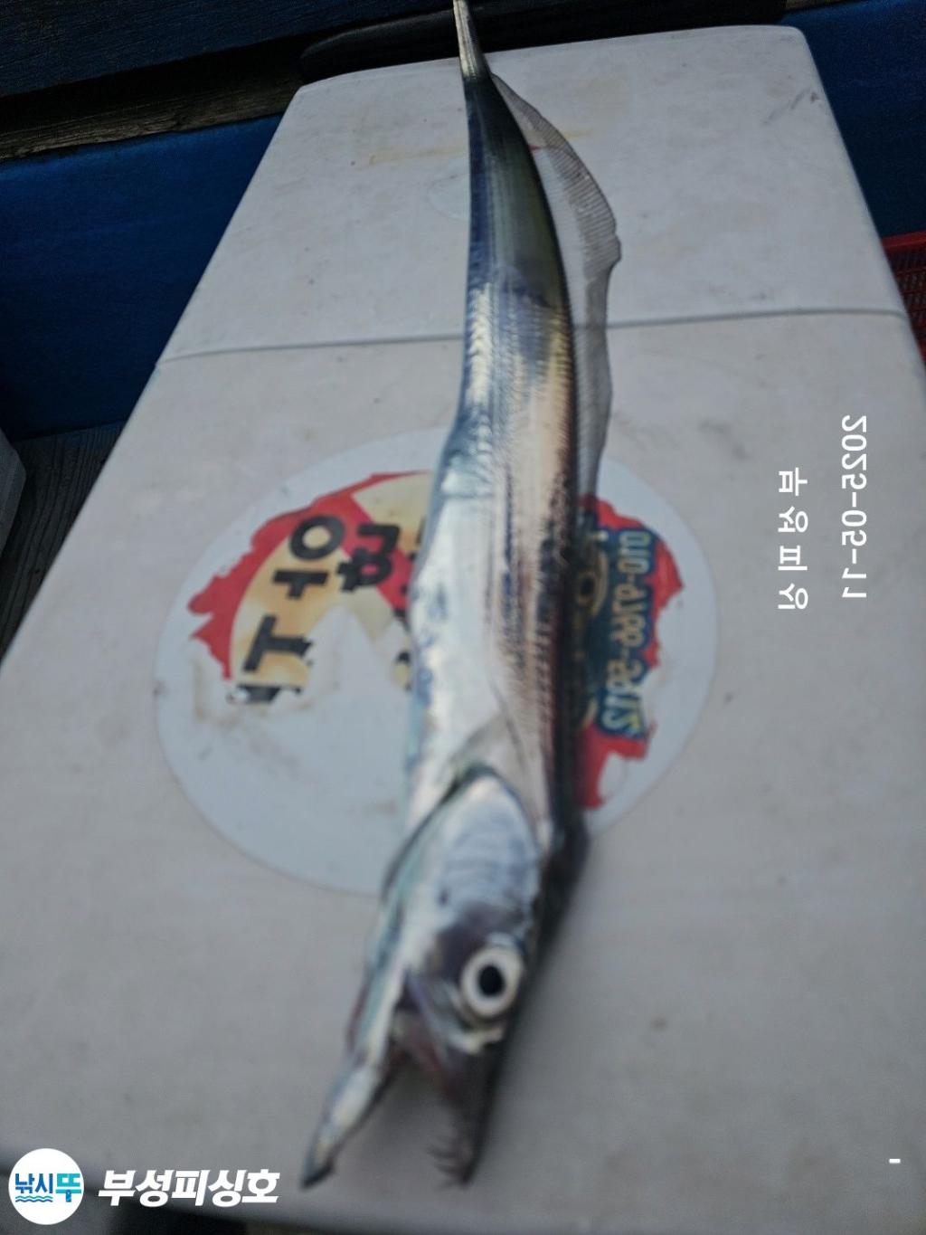 F2674959YC.jpg