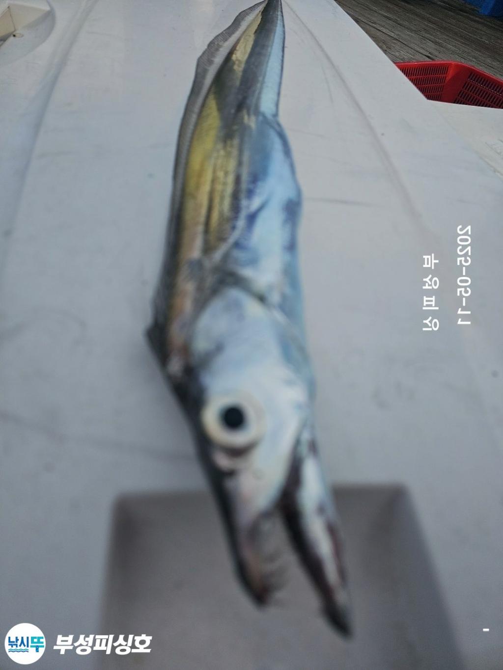F267496077.jpg