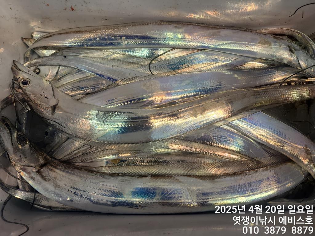 F26750308H.jpg
