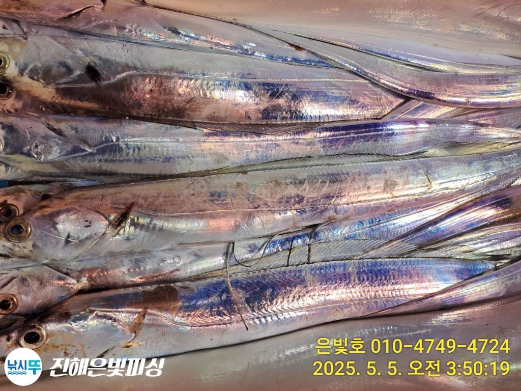 F267708652.jpg
