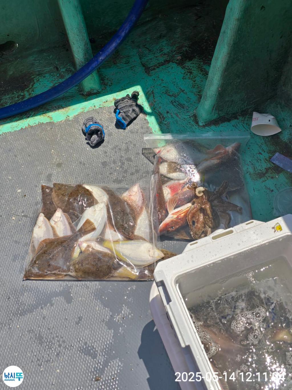 F2677732F8.jpg