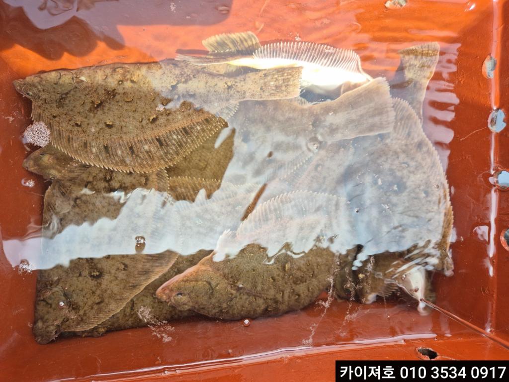 F2677917IN.jpg