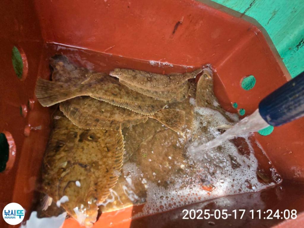 F26780348P.jpg