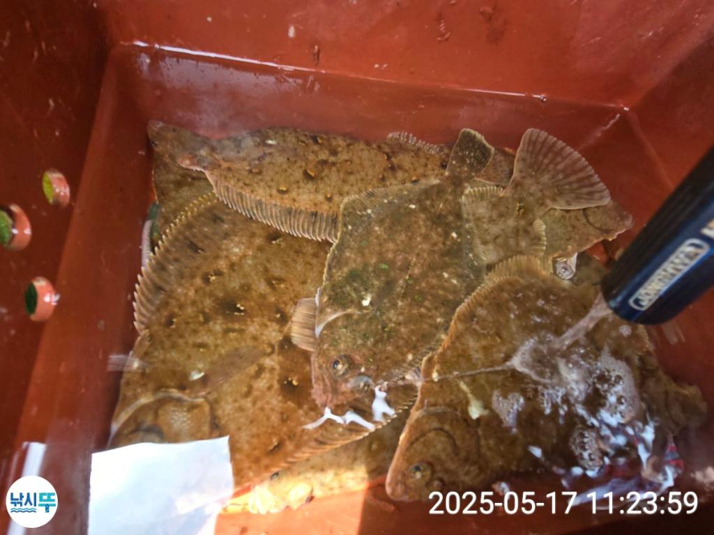 F267803832.jpg