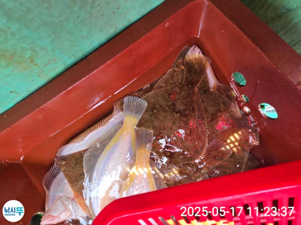 F2678043ZA.jpg