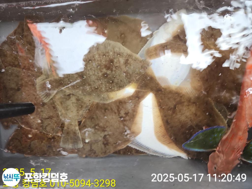 F2678060PP.jpg