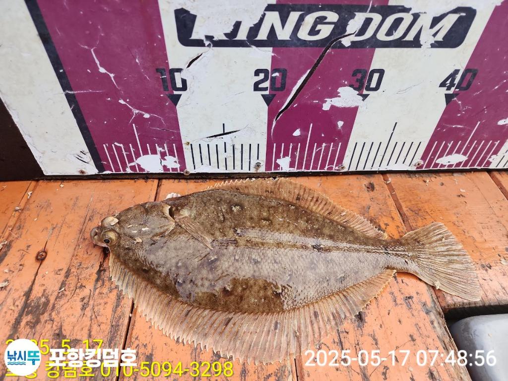 F2678114KO.jpg