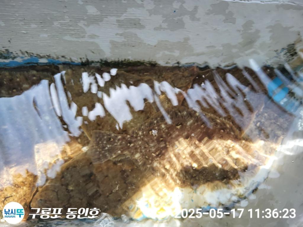 F2678125TD.jpg