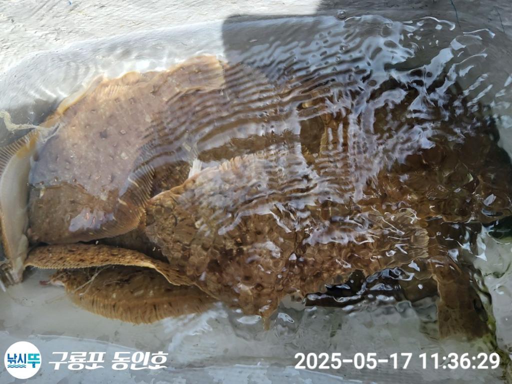 F2678126WX.jpg